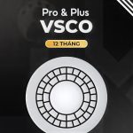 tài khoản vsco pro & plus giá rẻ