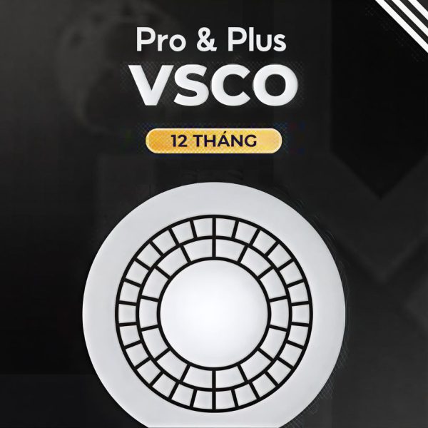 tài khoản vsco pro & plus giá rẻ