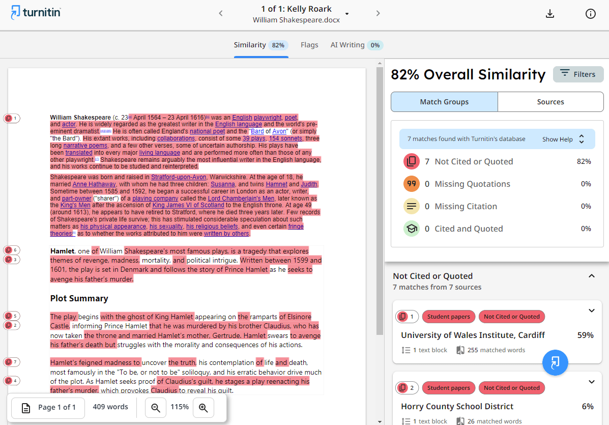 Turnitin Similarity Report