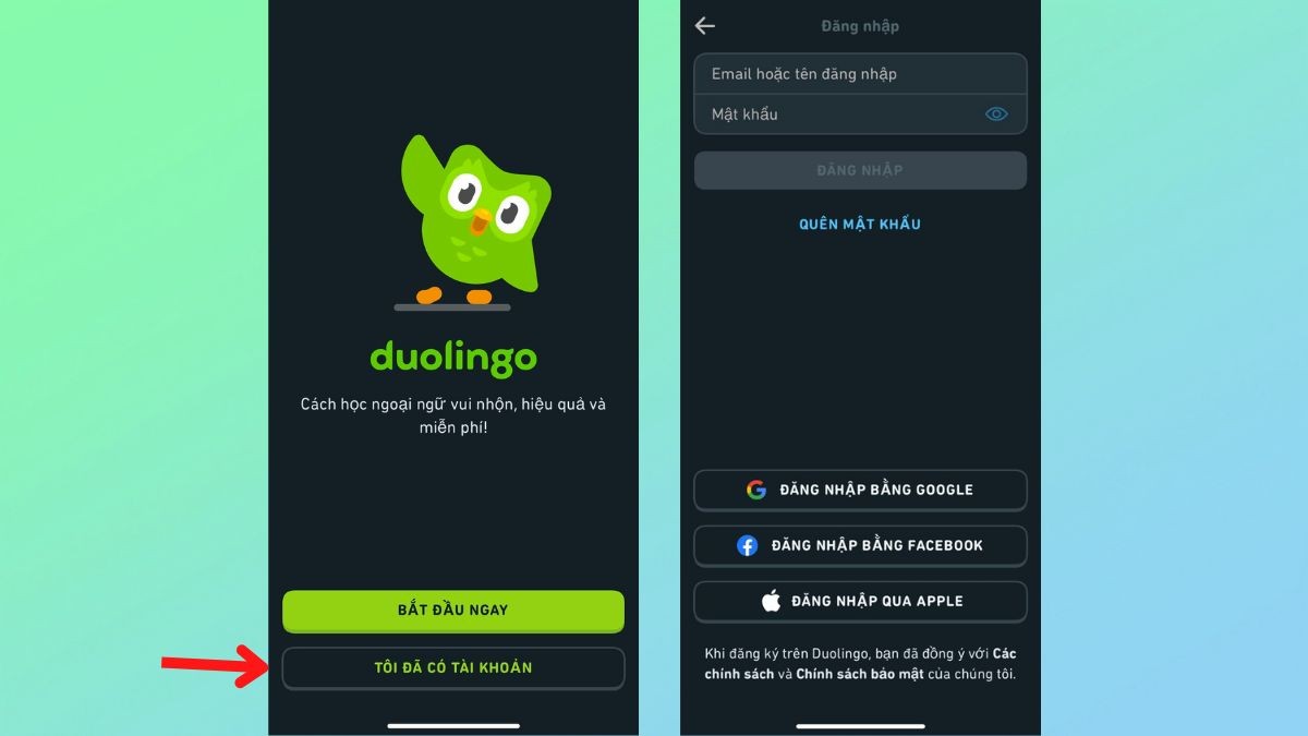 duolingo 08