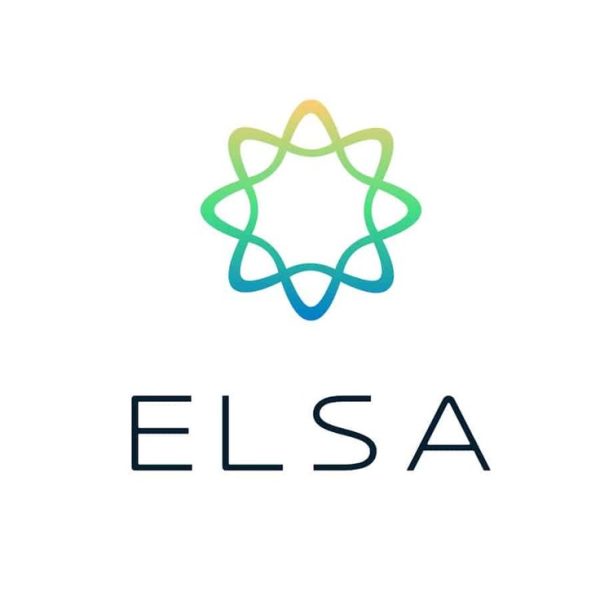 Nâng Cấp Elsa Speak Pro